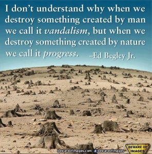 vandalism and progress