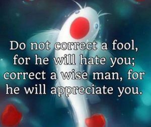 mistakes-correction-fools-wisdom