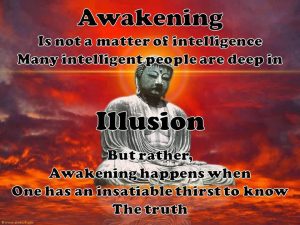 seek-truth-awakening