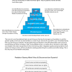NL6-Examples-1-Pyramid-Identification-and-Value