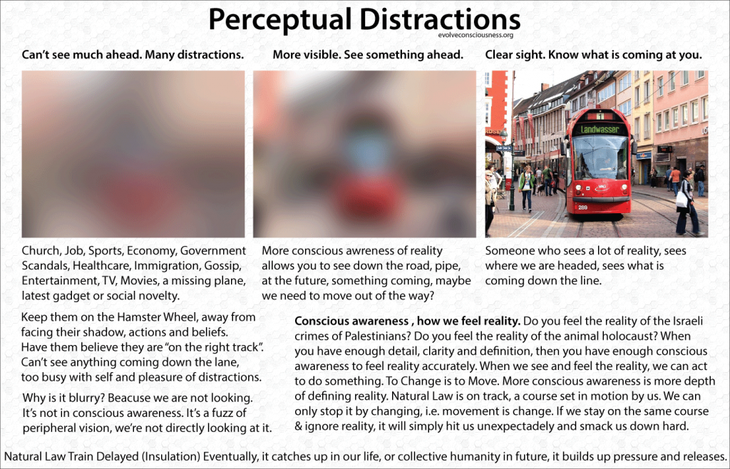 Perceptual-Distractions