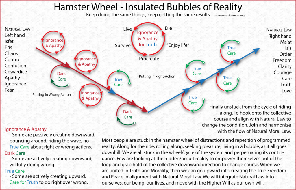 Hamster-Wheel-Insulated-Bubbles-of-Reality