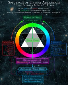 10-Spectrum-of-Living-Addendum-Bridge