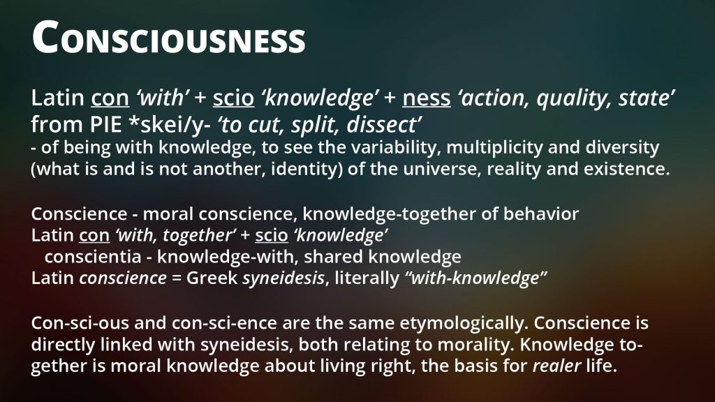 Consciousness and Truth
