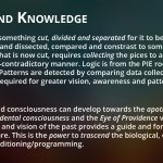 Consciousness and Truth