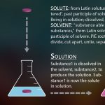 Consciousness and Truth