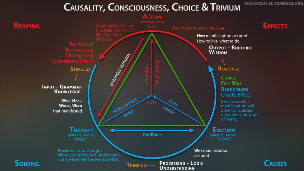 Causality,-Consciousness,-Choice-&-the-Trivium-Method