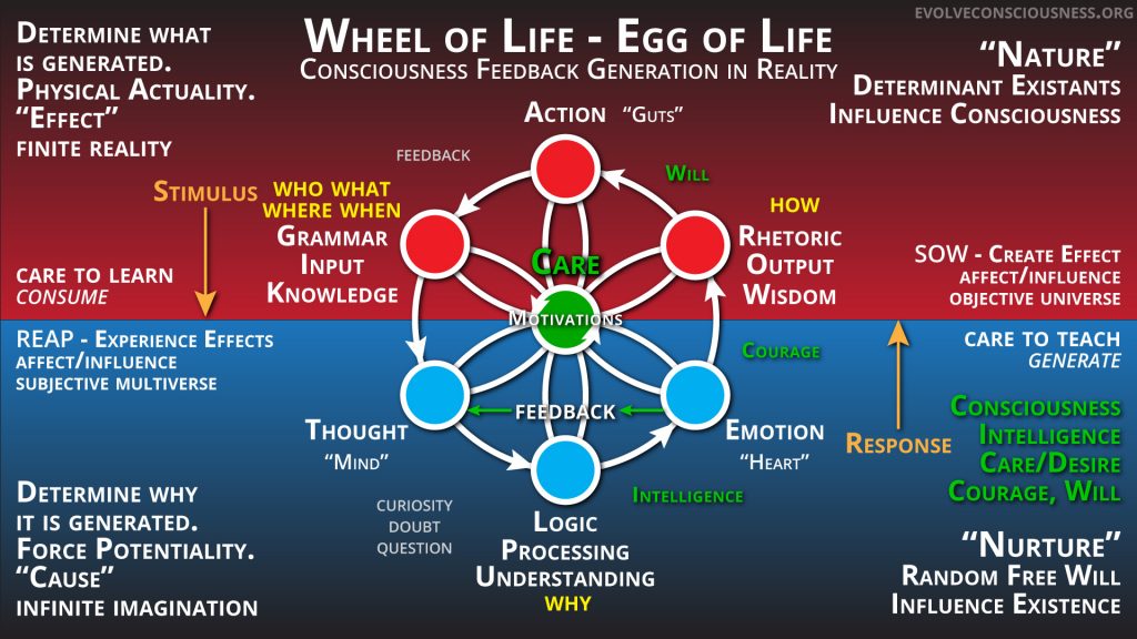 Wheel-of-Life-Feedback-Generation